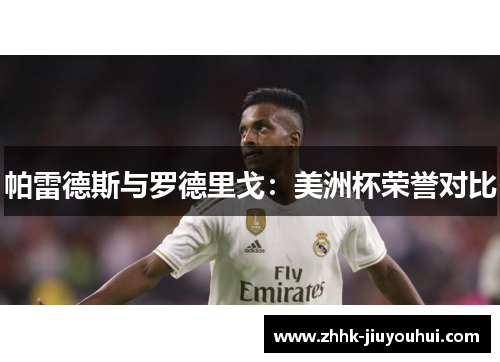 帕雷德斯与罗德里戈：美洲杯荣誉对比